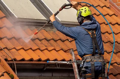 Démoussage et hydrofuge de toiture à Mensignac